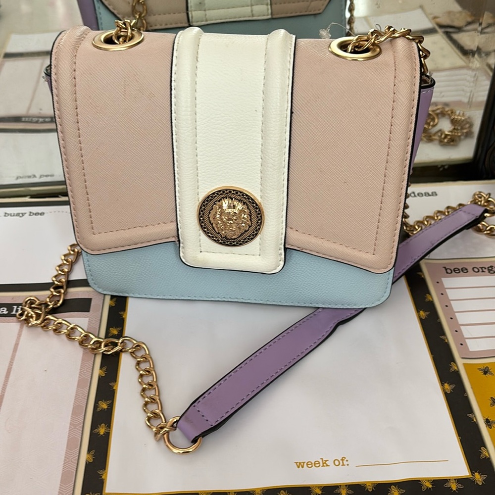Aldo multi color purse